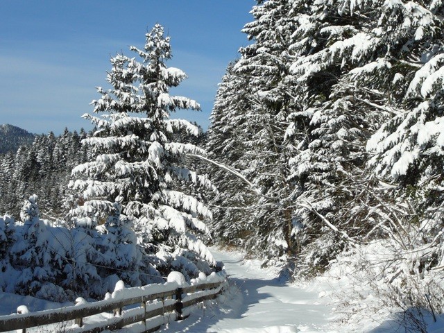 Gorski kotar